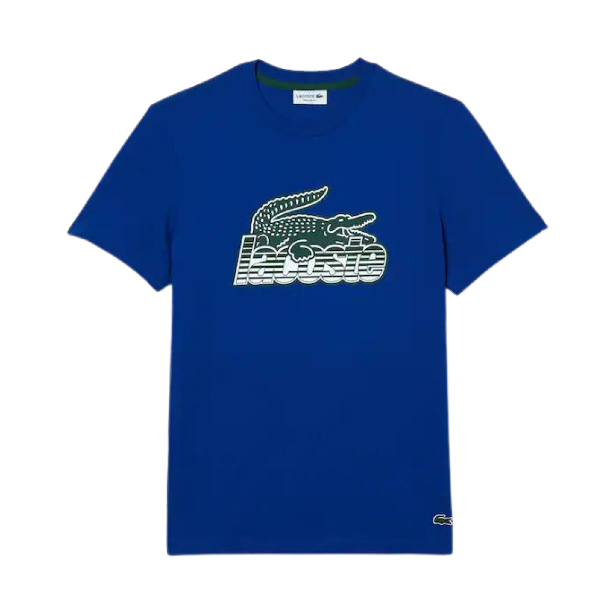 Lacoste Cotton Jersey Print T-Shirt (Royal)