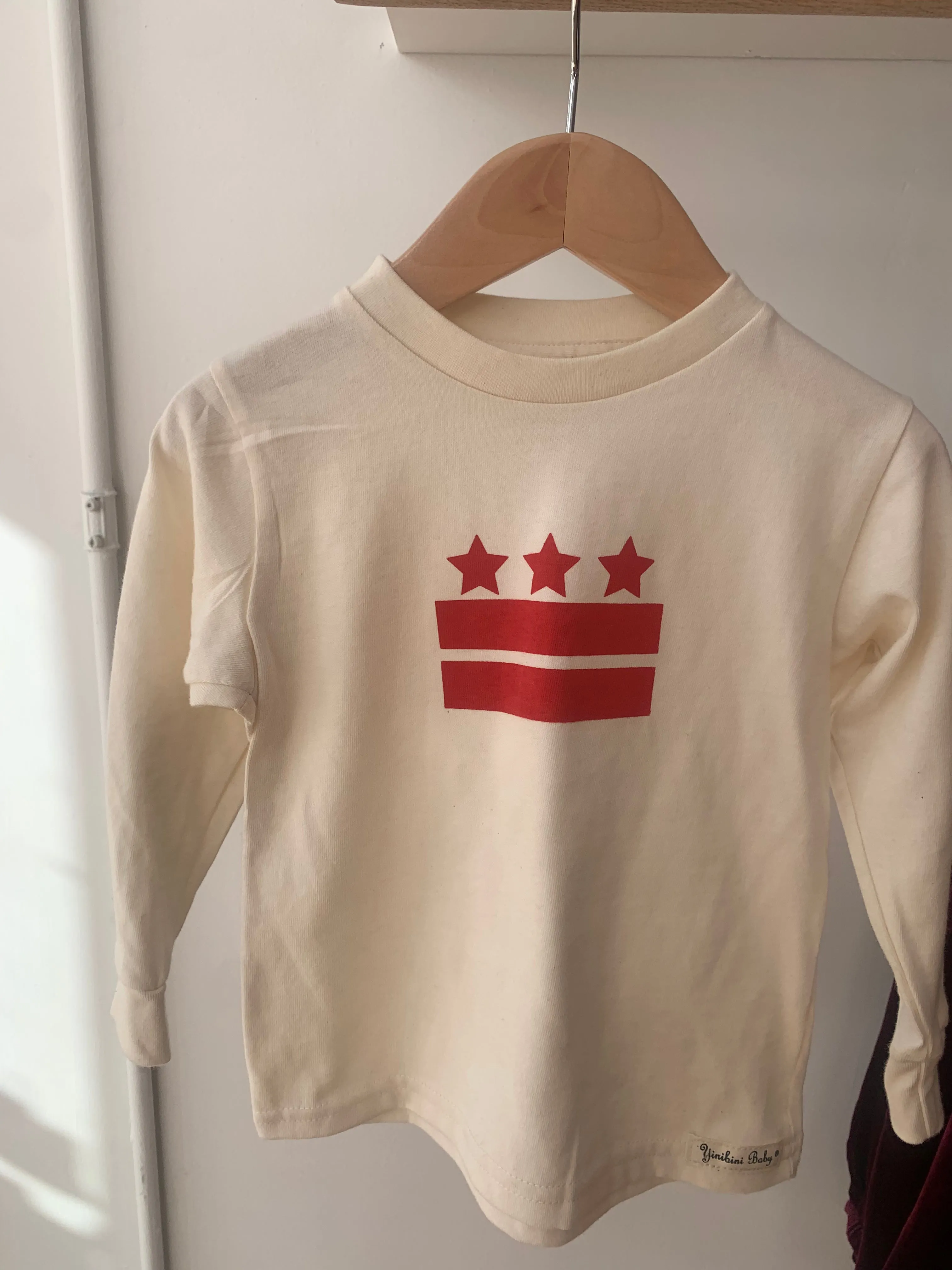 Long Sleeve DC Flag Kids Tee