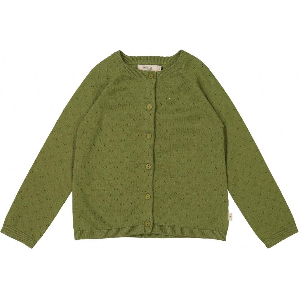 Organic cotton knit Cardigan Maja- moss