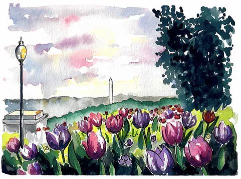 Washington Monument Greeting Card